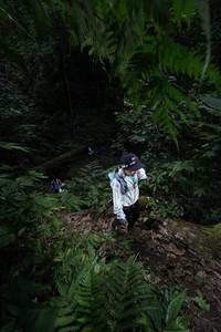 BIB: 
                            <button type="button" onclick="openModal(16030321)" class="btn btn-primary btn-sm float-right btn-popup" data-toggle="modal" data-target=".modal-high-quality">
                        <i class="fas fa-shopping-cart"></i> Add to Cart
                    </button>
                                            <button type="button" onclick="isThisMe(16030321, true)" class="btn btn-success btn-sm float-right btn-popup btn-isme hidden" data-toggle="tooltip" data-placement="bottom" title="นี่คือรูปของคุณใช่ไหม คลิกที่นี่เพื่อเอาเข้าอัลบั้ม">
                        <i class="fas fa-plus"></i> Add to album
                    </button>
                    <button type="button" onclick="isThisMe(16030321, false)" class="btn btn-warning btn-sm float-right btn-popup btn-isnotme hidden">
                        <i class="fas fa-ban"></i> Remove from album
                    </button>